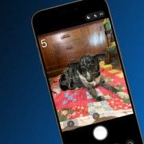 How to Set an iPhone Camera Timer—the Easy Way!