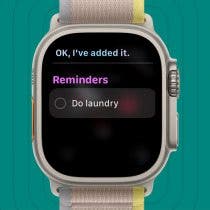 How to Use Apple Reminders App on Apple Watch