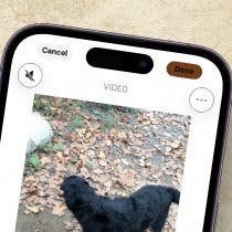 Easiest Way to Remove Audio from Video on iPhone