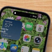 Why Is My iPhone Not Ringing? 4 Fixes