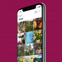 Search objects iPhone Photos app