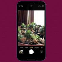 How to Turn Off Camera Sound on iPhone