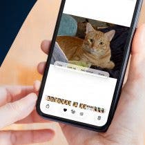 How to Create Custom Photo Stickers on iPhone