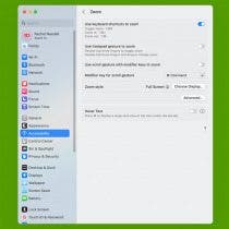 How to Zoom Out on a Mac: Window & Whole Screen (2023)