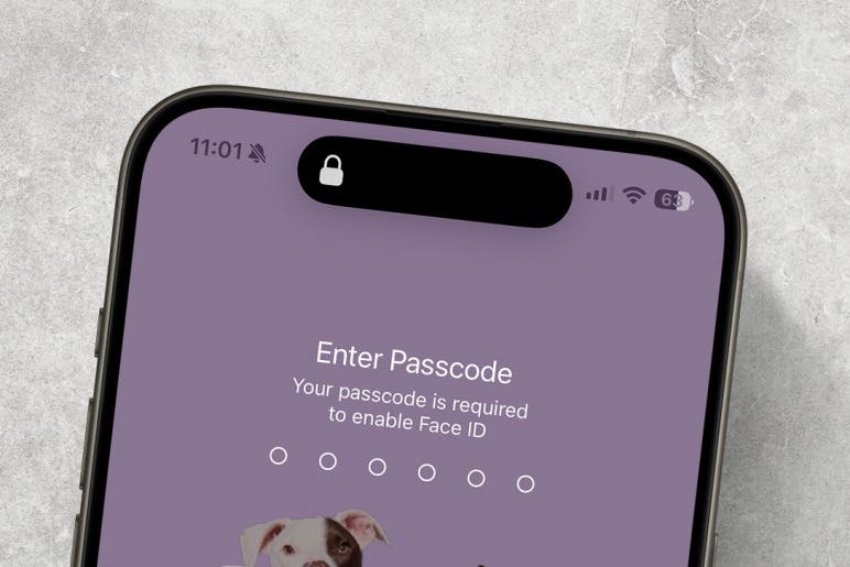 How To Turn Off Face ID on iPhone Temporarily & Lock Screen