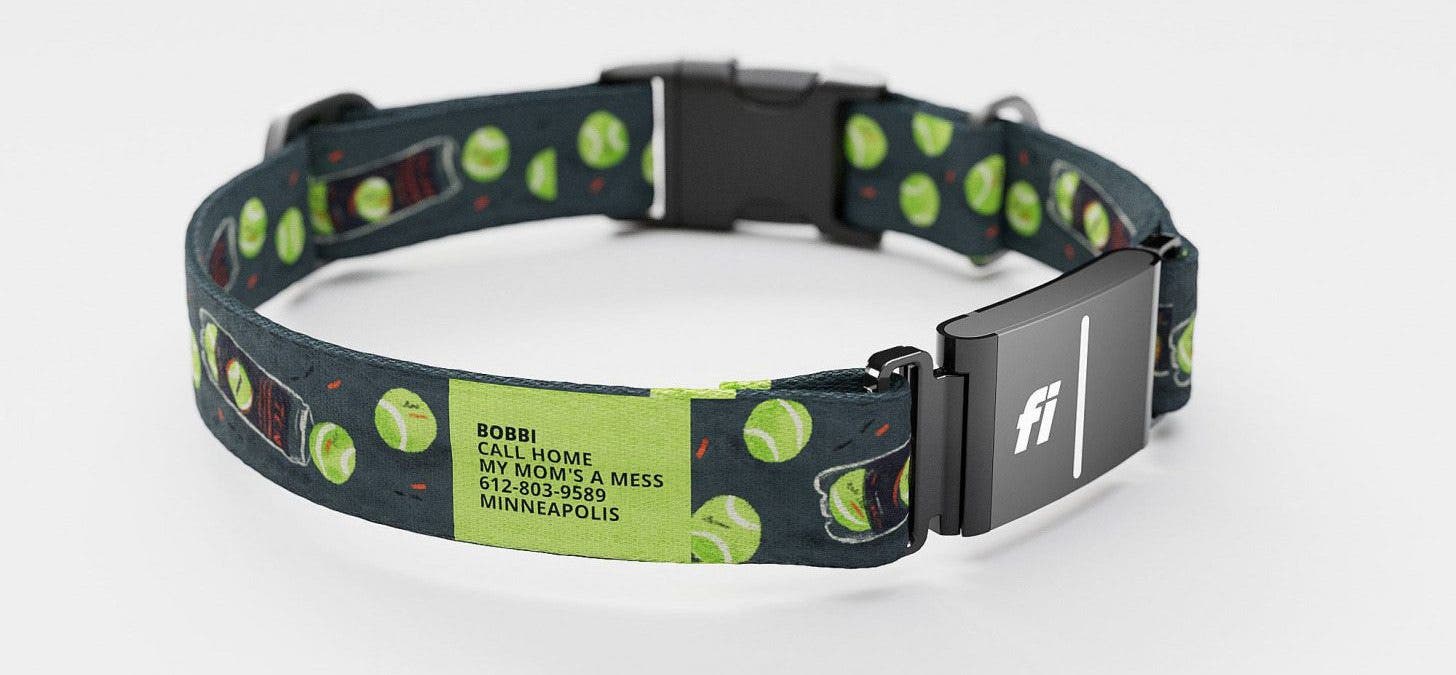 Best Smart Dog Collars & Tracking Gadgets for iPhone (2024)