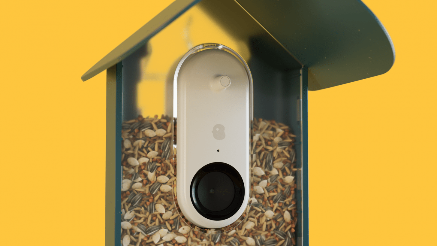 Bird Buddy Accessories: Which Do You Really Need?