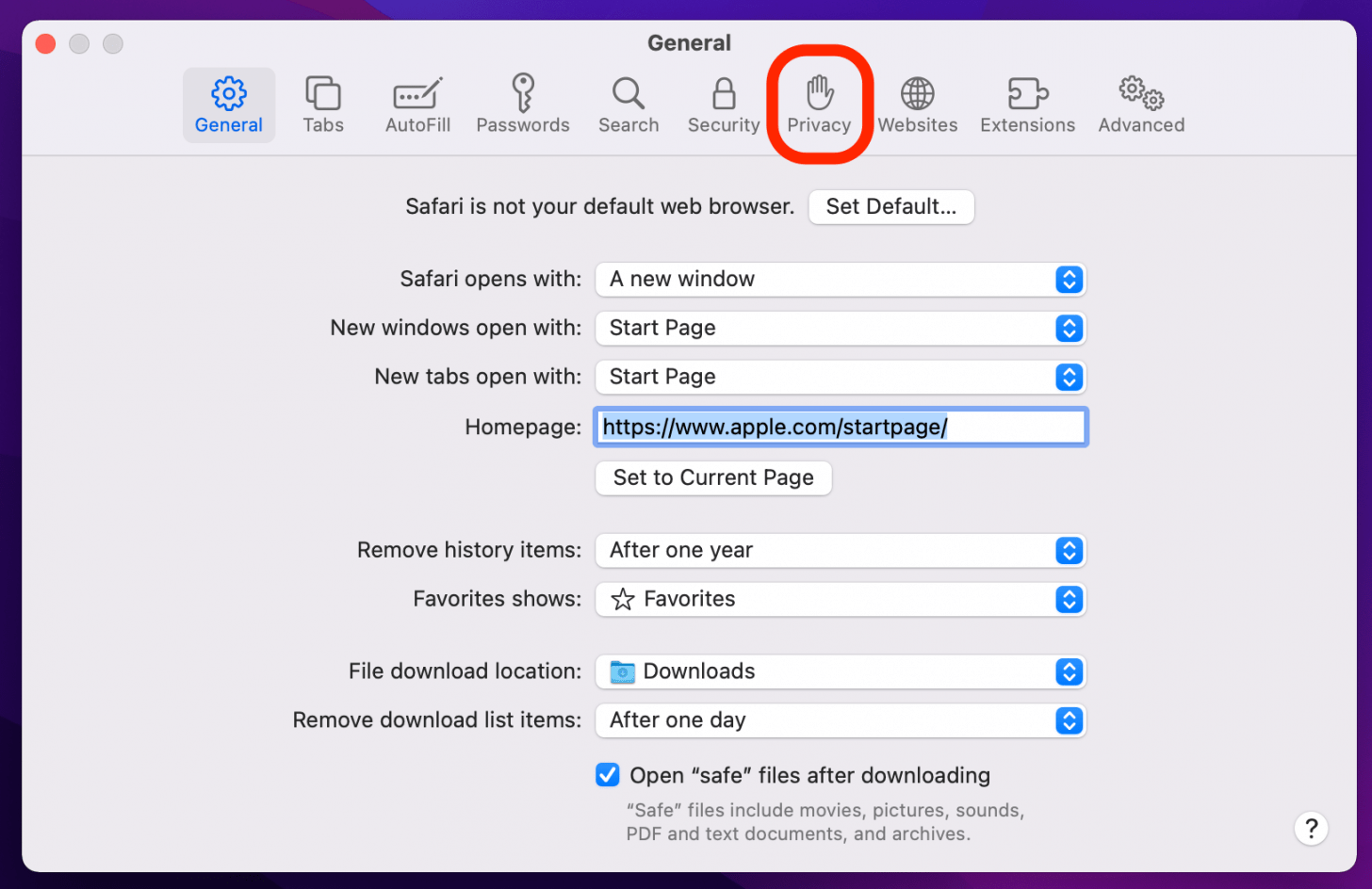 click privacy when safari cannot open page