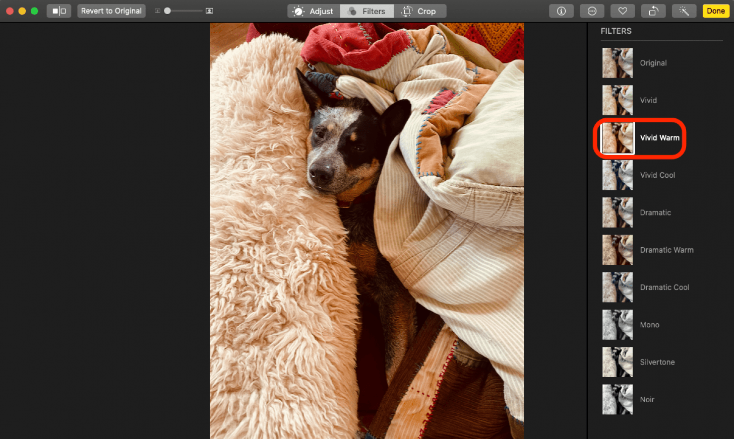 How to Put a Filter on a Photo or Video on Mac