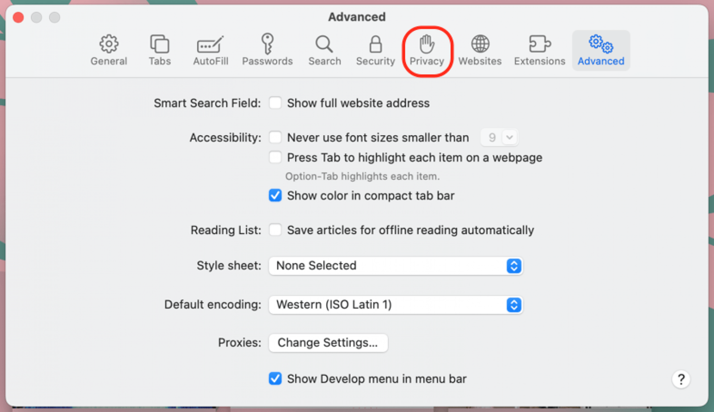 click privacy in safari settings to enable cookies