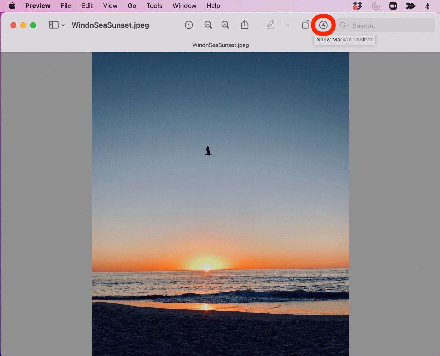 Crop in Preview Step 3 - Markup Toolbar