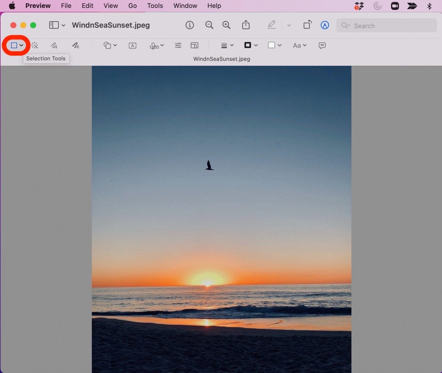 Crop in Preview Step 4 -Selection  Tool