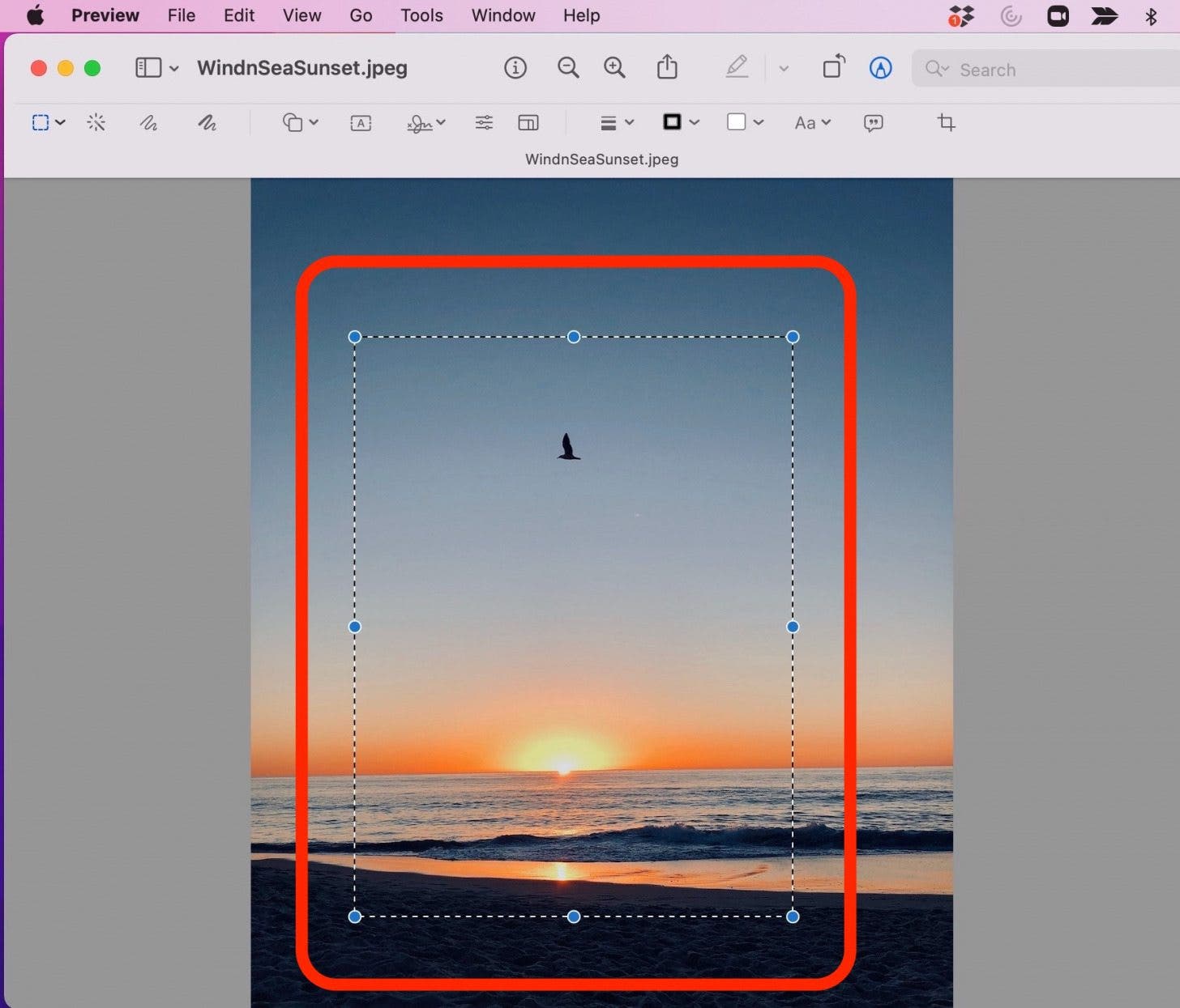 Crop in Preview Step 6 - Click and Drag Crop Area