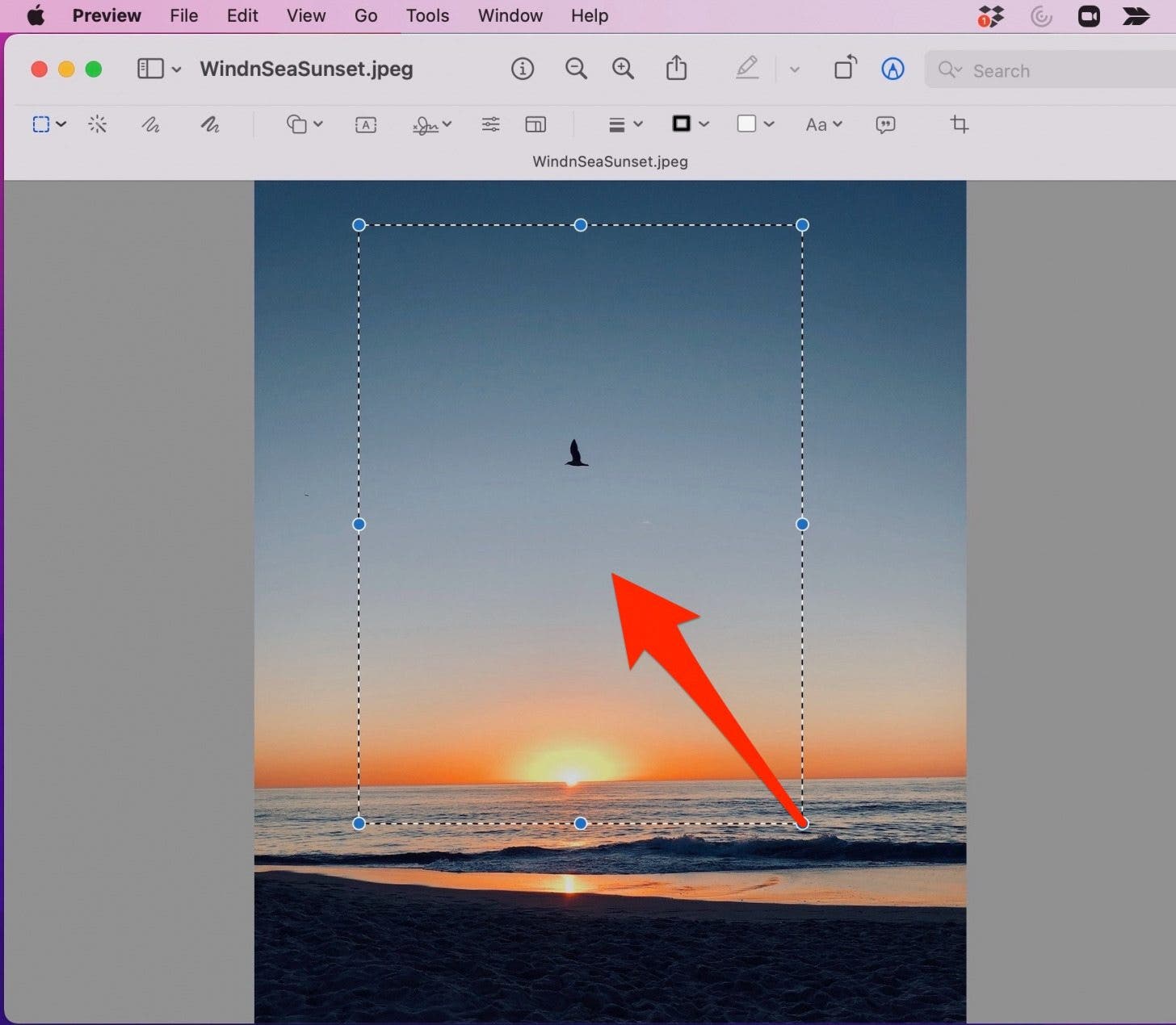 Crop in Preview step 7 - adjust boarder.