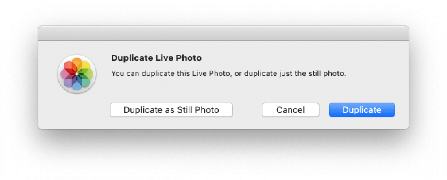 duplicate live photo