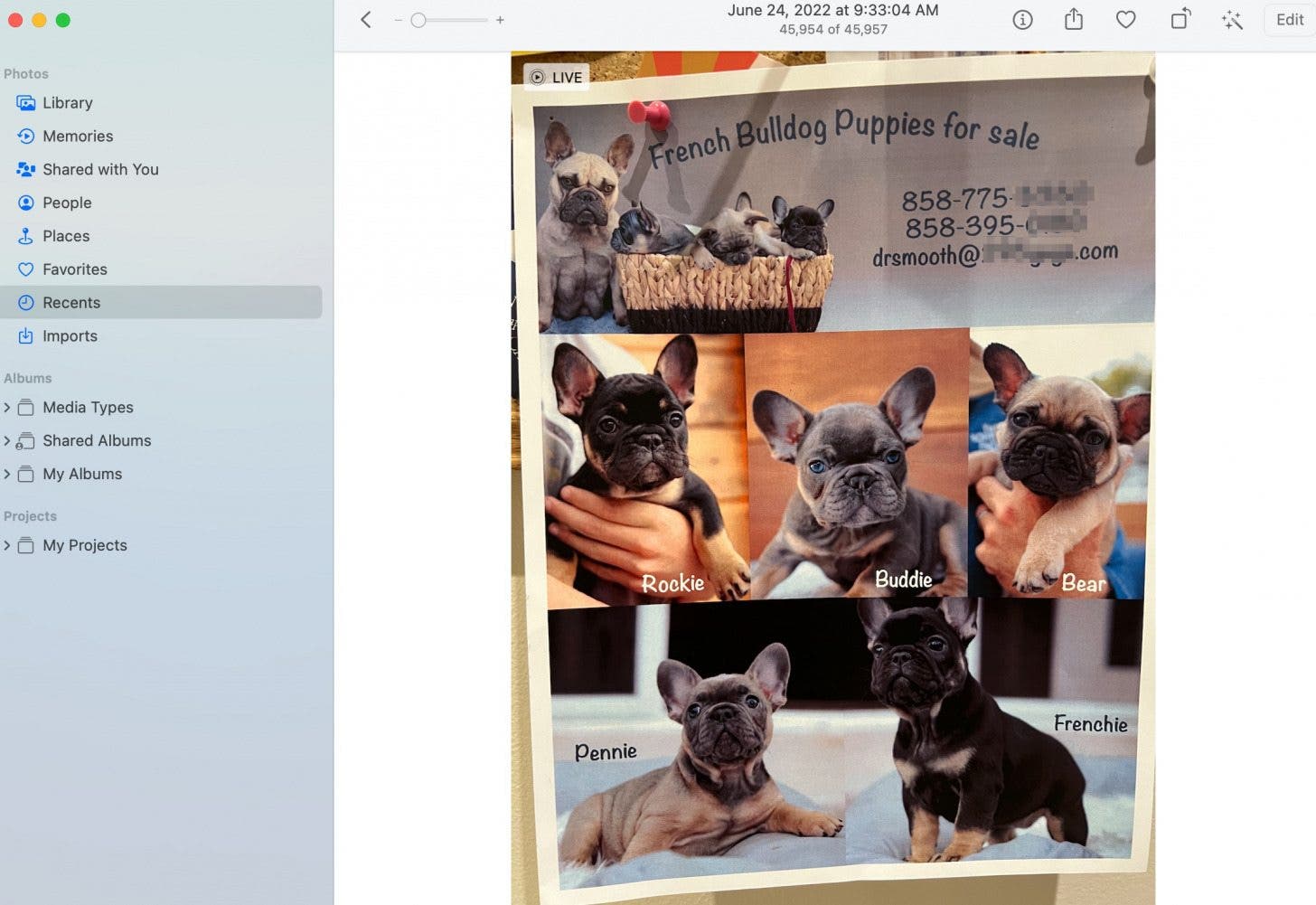 How to use live text step 3 -Flyer example