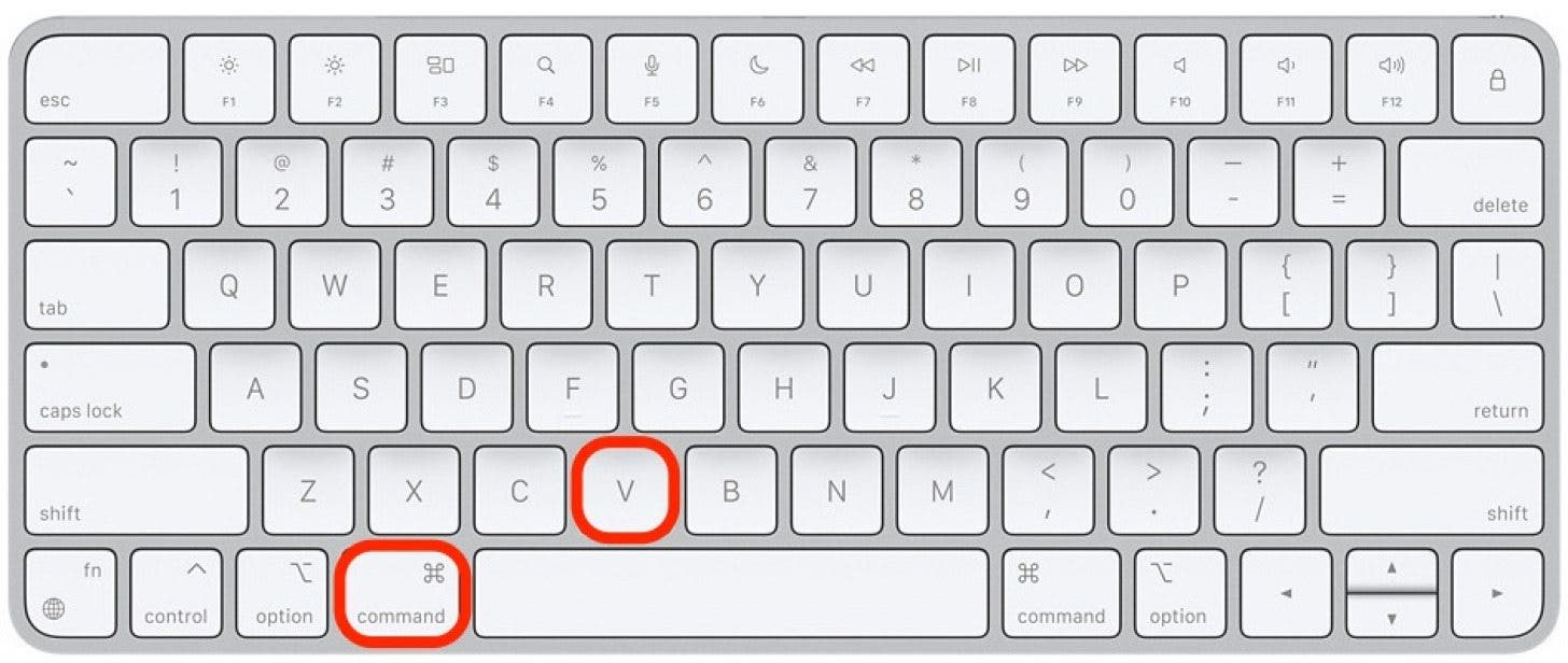 How to use live text step 6 -Paste