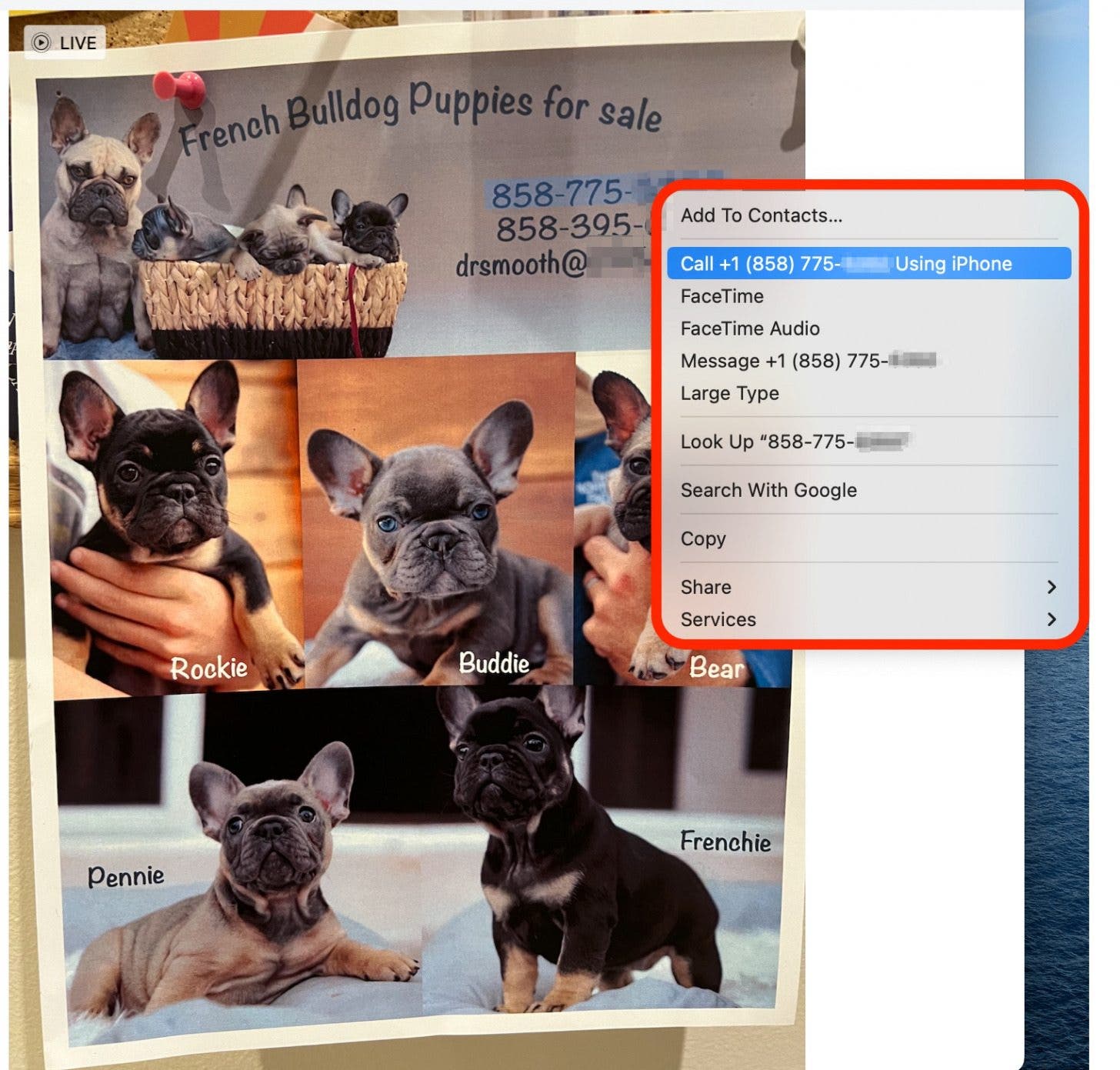 How to use live text Step 8 - Right Click