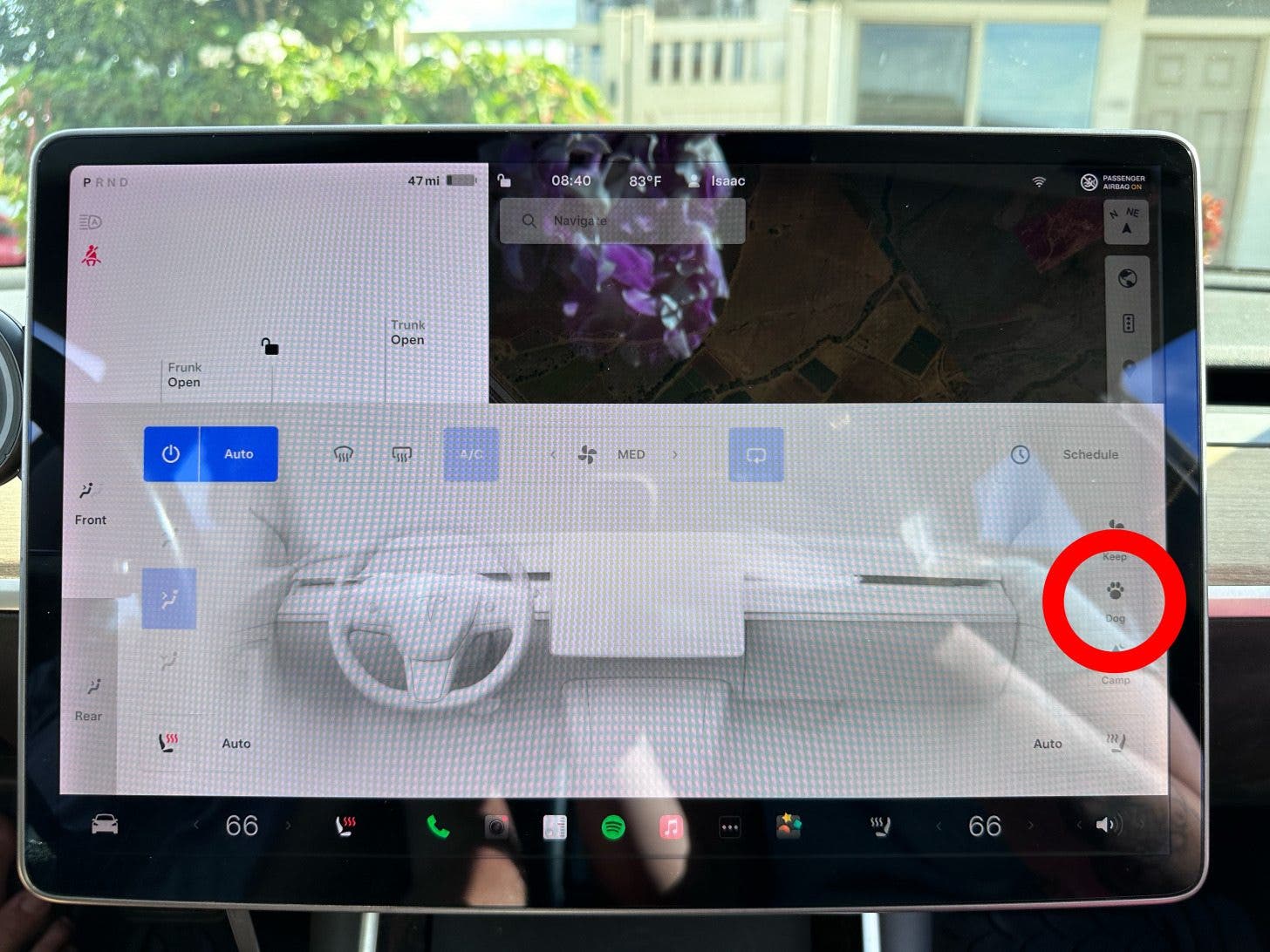 Then select Dog Mode.