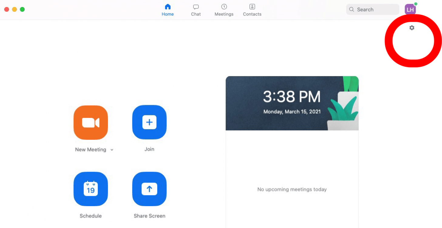 gear icon zoom app