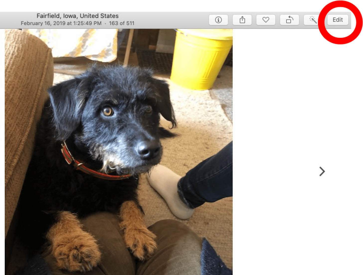 choose photo to edit and click edit