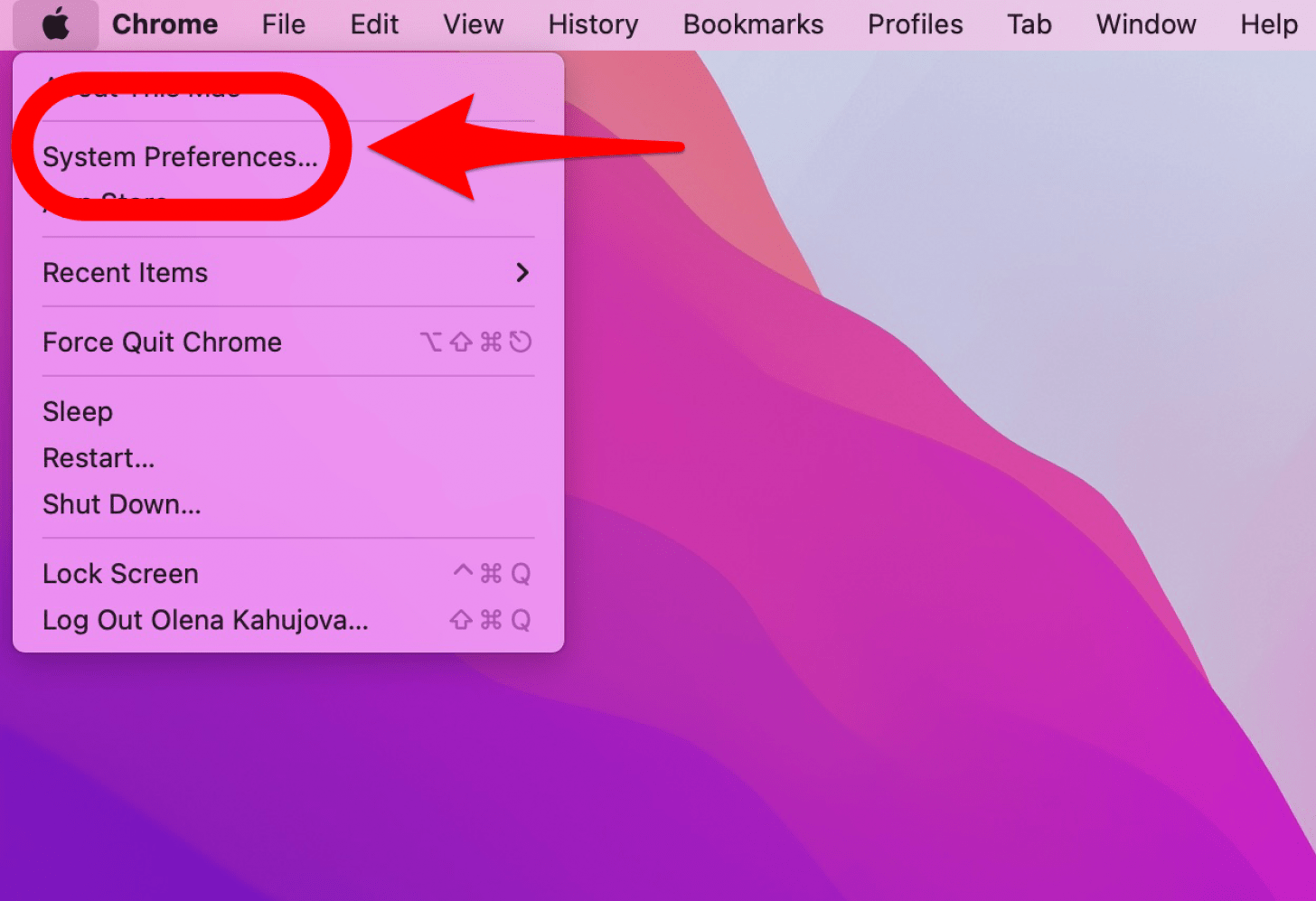Open System Preferences - how to backup macbook pro, how to backup macbook air