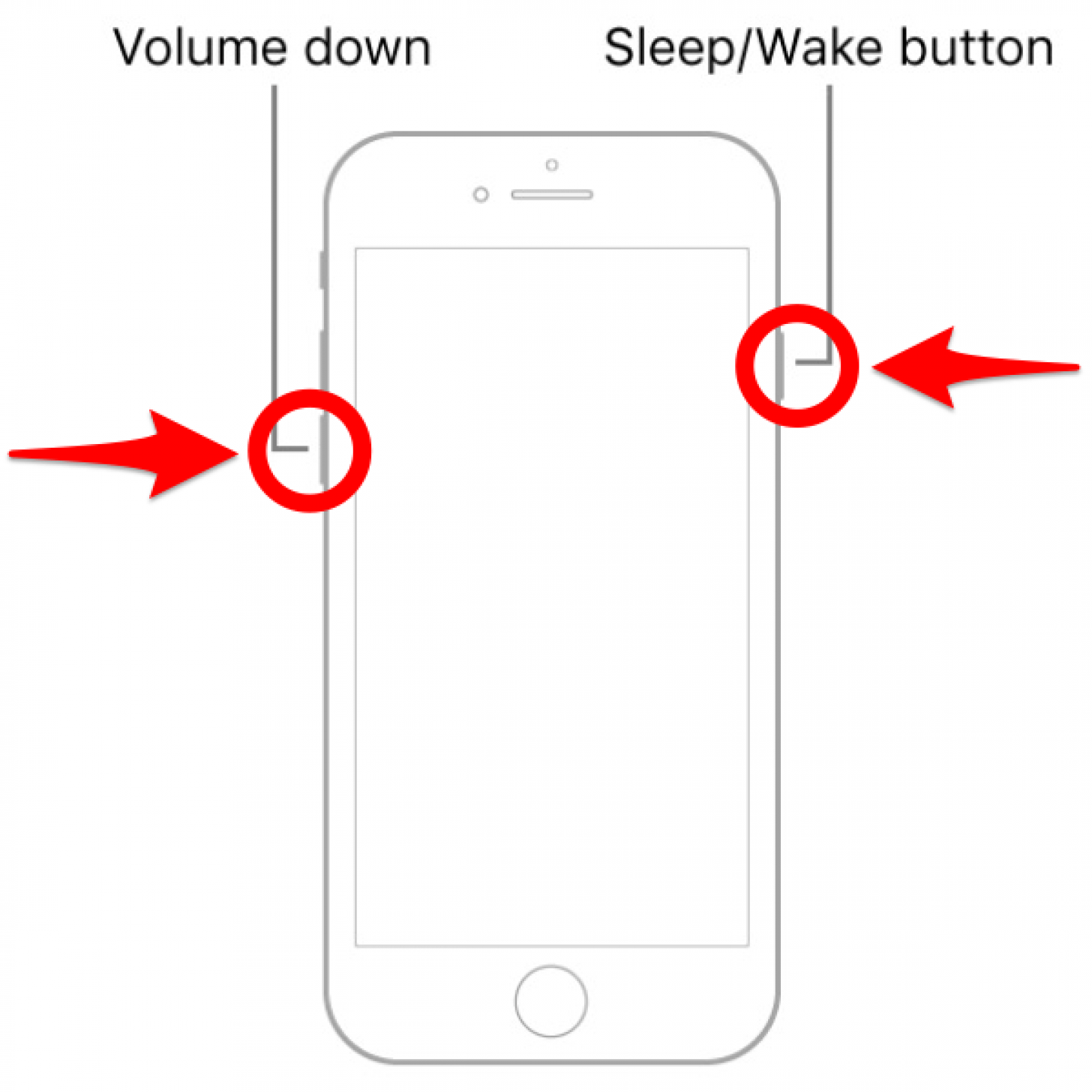 Press and hold the volume down button and the Sleep/Wake button simultaneously - how do you do a hard reset