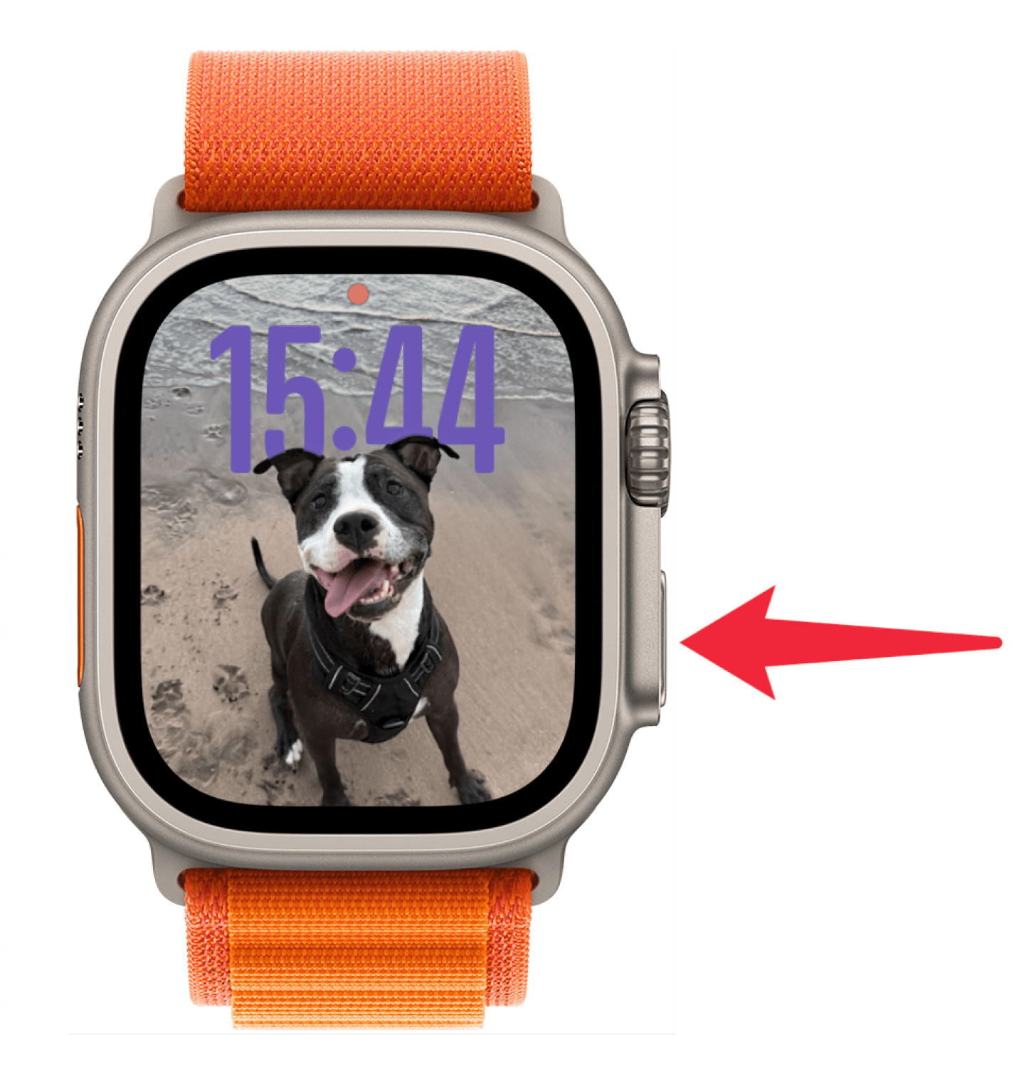 Press the Side button to open your Apple Watch Control Center.