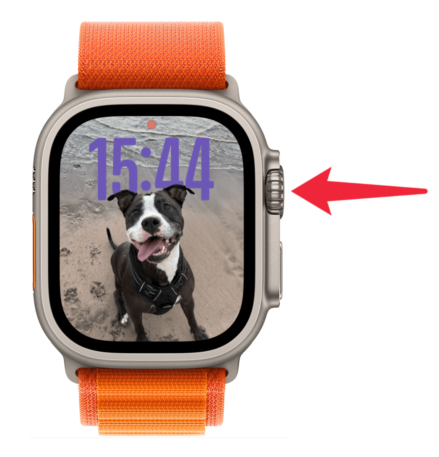 Tap your Apple Watch to wake it if it’s asleep, then press the Home button.