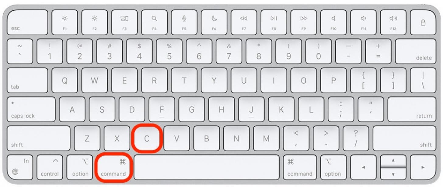How to use live text step 5 -Copy