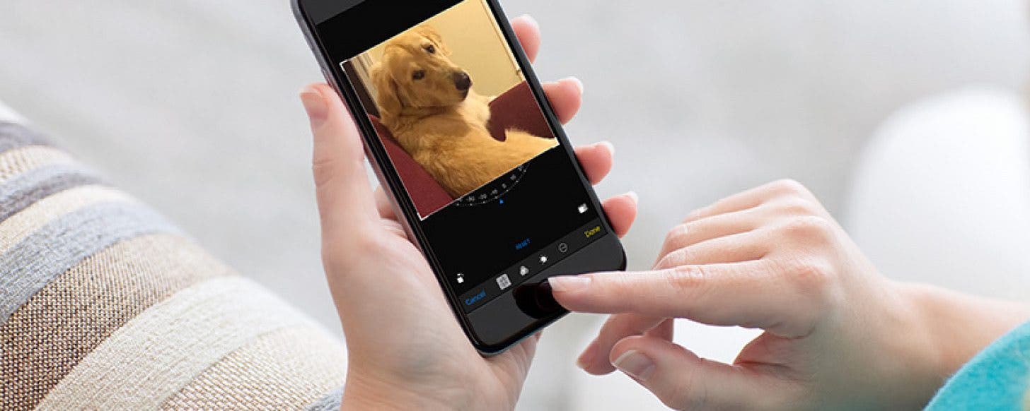 How To Rotate Pictures Using The Photos App On IPhone how-to-rotate-pictures-using-the-photos-app-on-iphone
