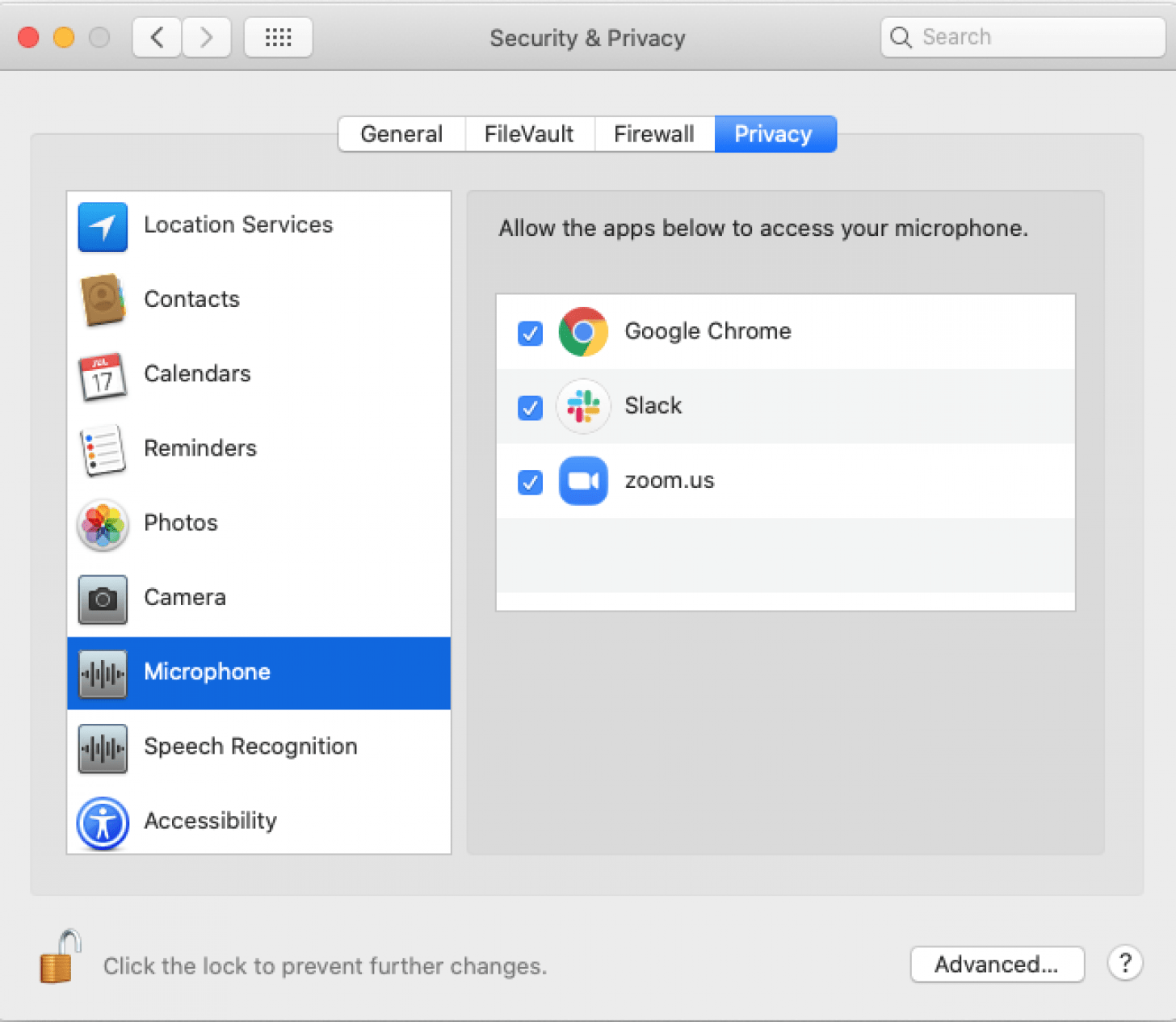 enable zoom microphone access