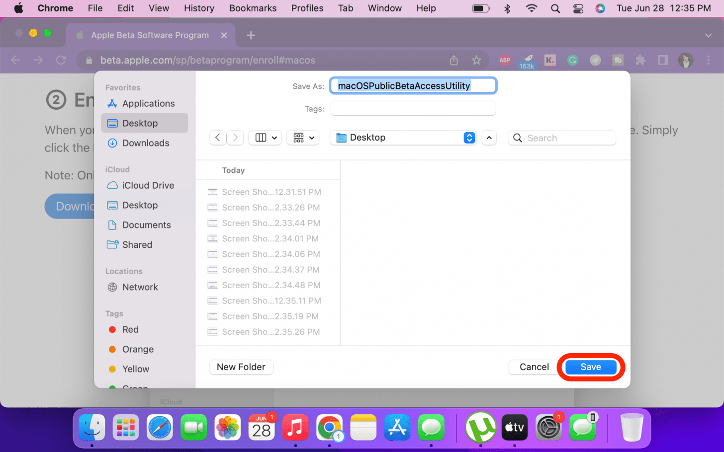 Select a location on your Mac to save the file and click Save.