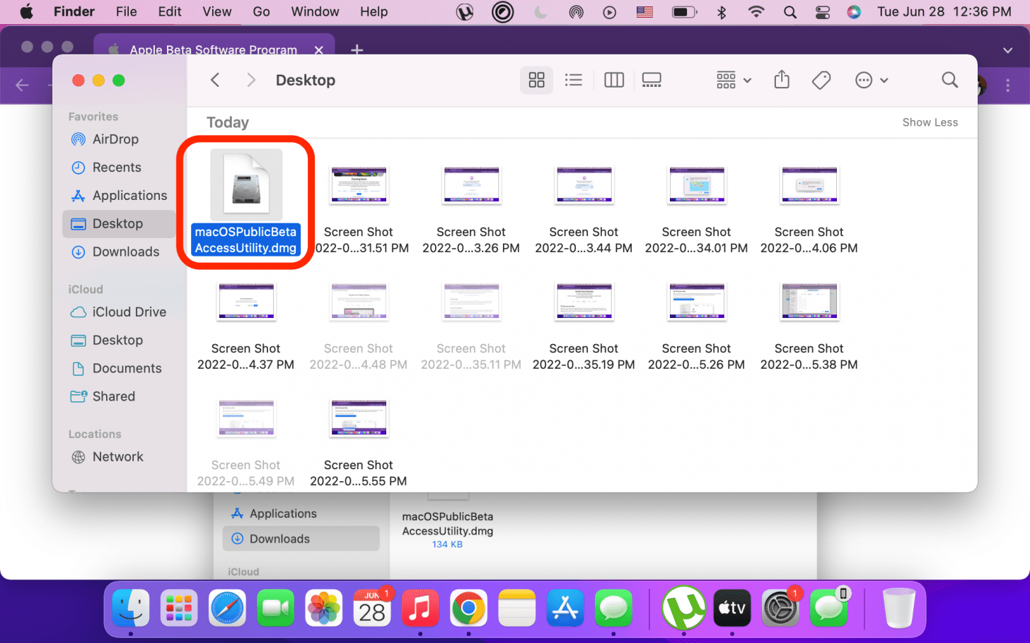 Double click to open the downloaded Public Beta Access Utility package.