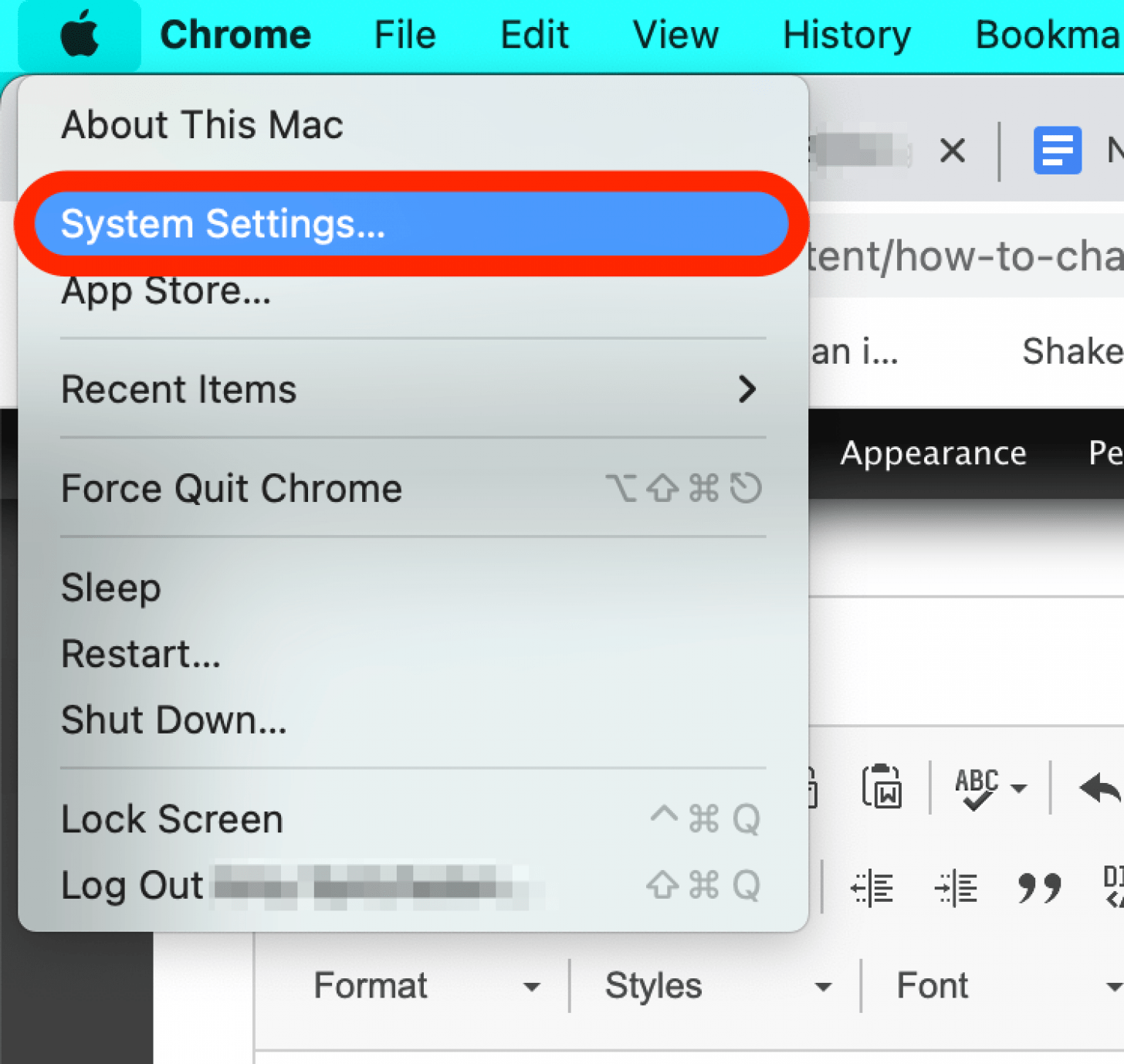Click on the Apple menu and then System Settings changing computer name mac