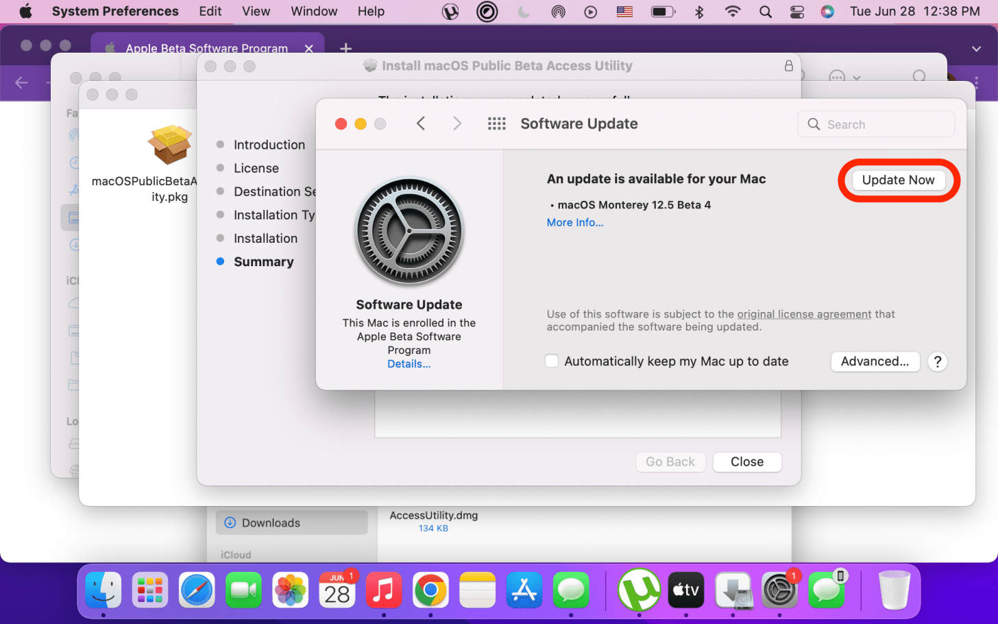 Once the new operating system is finished downloading, tap Install Now.