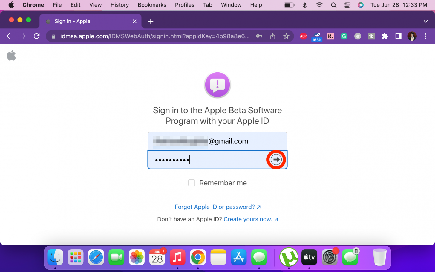 You’ll be prompted to sign in with your Apple ID and password.
