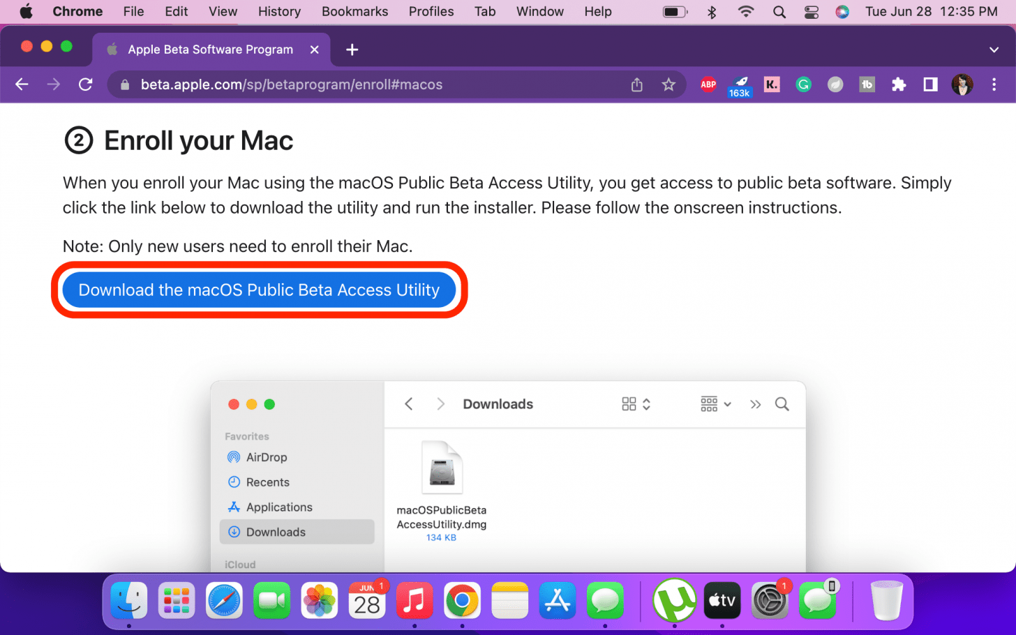 Click Download the macOS Public Beta Access Utility.