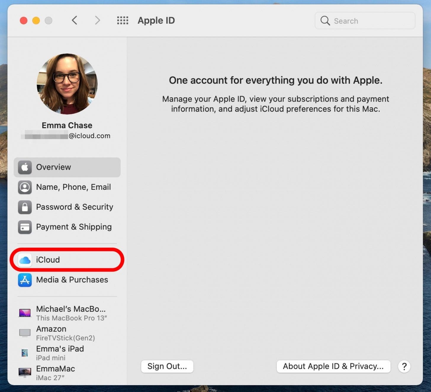 How to Sync Passwords between iPhone & Mac with Keychain