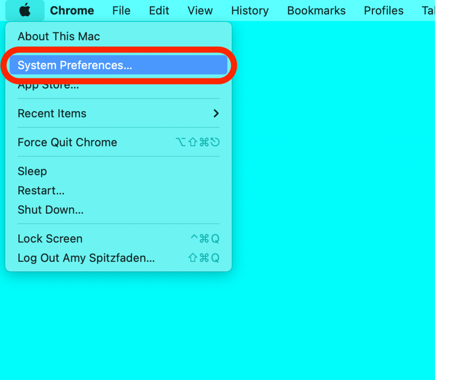 mac update