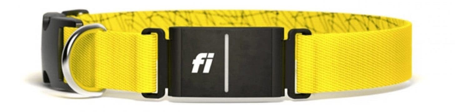 SERIES 3 Fi Smart Dog Collar ($3.20/Week+)