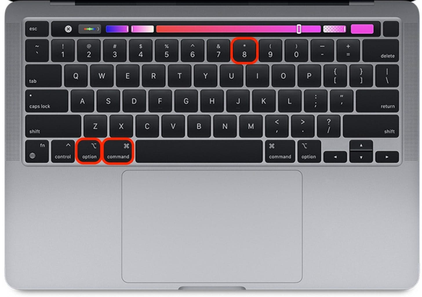 Now, to use the keyboard shortcuts, press Option + Command + 8 at the same time to enable Toggle Zoom. To exit toggle zoom, press the keys again.