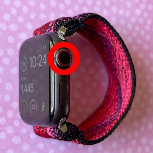 Apple Watch Digital Crown dial