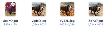 Grok prefers to name files the way Elon names his children.