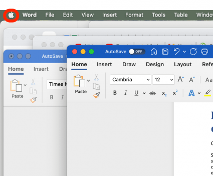 Click on the Apple icon in the top-left corner of the screen to open the Apple menu.