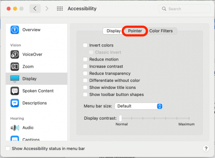 Click Pointer. This is where you can customize mouse cursor appearance. 