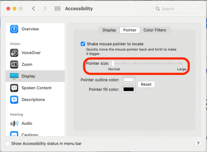 Pointer size: Click and drag this slider left or right to make the mouse arrow smaller or larger.