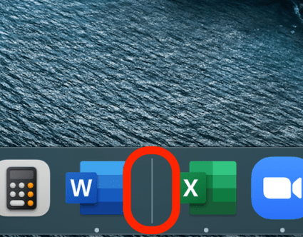 Control-click or right-click on Dock divider bar