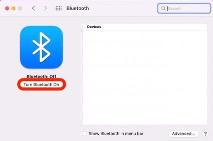 How to Pair Bluetooth Headphones to Mac Step 4 - Turn Bluetooth On