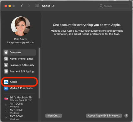 Click on iCloud
